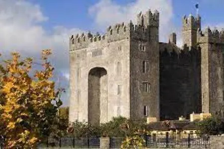 Castletroy Park Limerick Junction